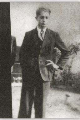 Afbeelding van Johannes Hubertus Augustinus van Hees