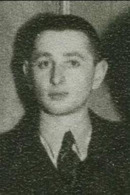 Afbeelding van Abraham Salij Gans