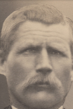 Afbeelding van Harm van der Laan