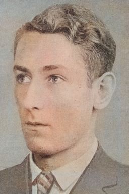 Afbeelding van Leon de Raaij