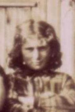 Afbeelding van Leviene Denneboom
