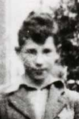 Afbeelding van Charles Bertus Levie