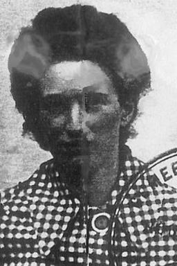 Afbeelding van Hillechina Rosina van der Laan-van Hoorn
