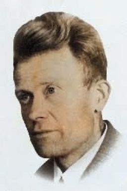 Afbeelding van Marinus Post