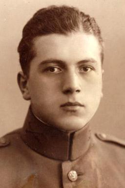 Afbeelding van Albertus Johannes Hermelink