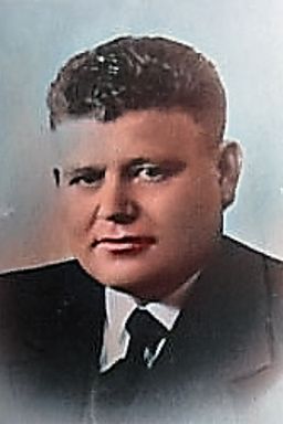 Afbeelding van Lambert Ravenhorst