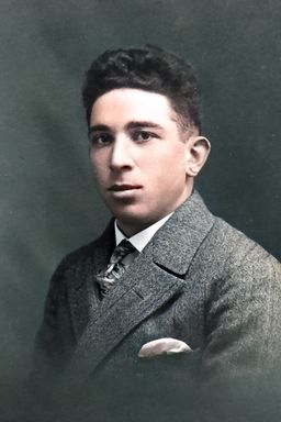 Afbeelding van Abraham Leman