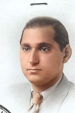 Afbeelding van Leo van Emden