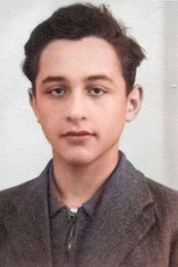 Afbeelding van Herbert Herzstein