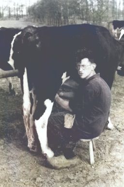 Afbeelding van Elias Snuijf