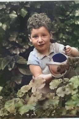 Afbeelding van Marcus Mozes van Spier