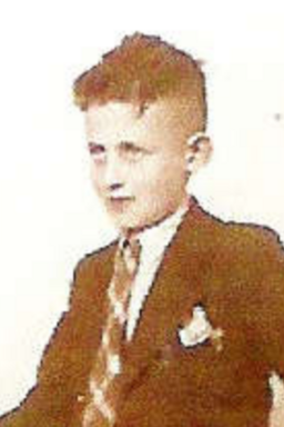 Afbeelding van Nathan Lazarus Frenk