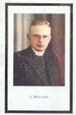 Afbeelding van Regnerus Aloysius de Hosson