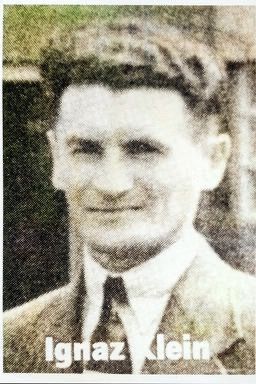 Afbeelding van Ignacz Klein