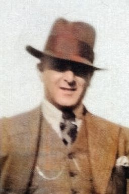 Afbeelding van Salomon van der Stam