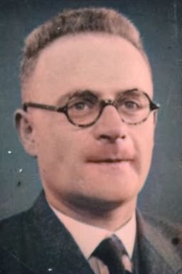 Afbeelding van Valk van Spiegel