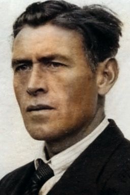 Afbeelding van Hindrik Wiekens