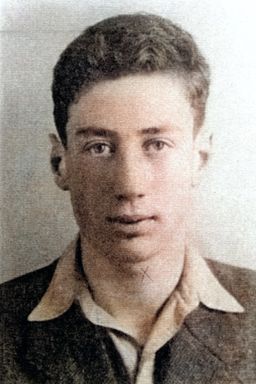 Afbeelding van Adolf Herman Besthof