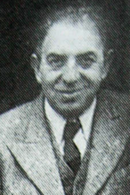 Afbeelding van Samuel Jozef Wolf