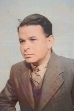 Afbeelding van Alfred Goldsteen