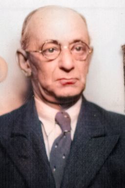 Afbeelding van Isaac-Vincent Ringelheim
