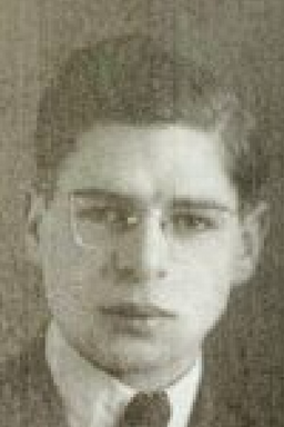 Afbeelding van Asser Straus