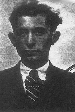 Afbeelding van Nathan Abraham Wolf