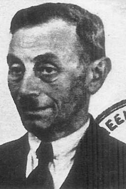 Afbeelding van Salomon van der Hak