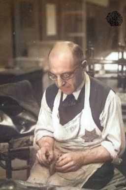 Afbeelding van Fritz David Stern