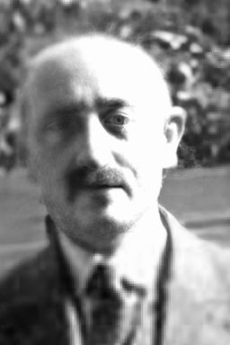 Afbeelding van Julius Mogendorff