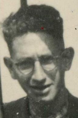 Afbeelding van Salomon Joel van Essen