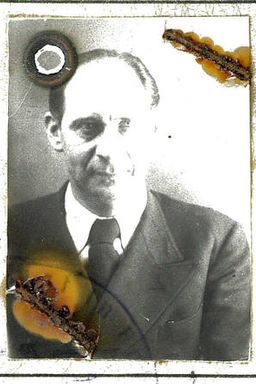 Afbeelding van Hans Fleischmann